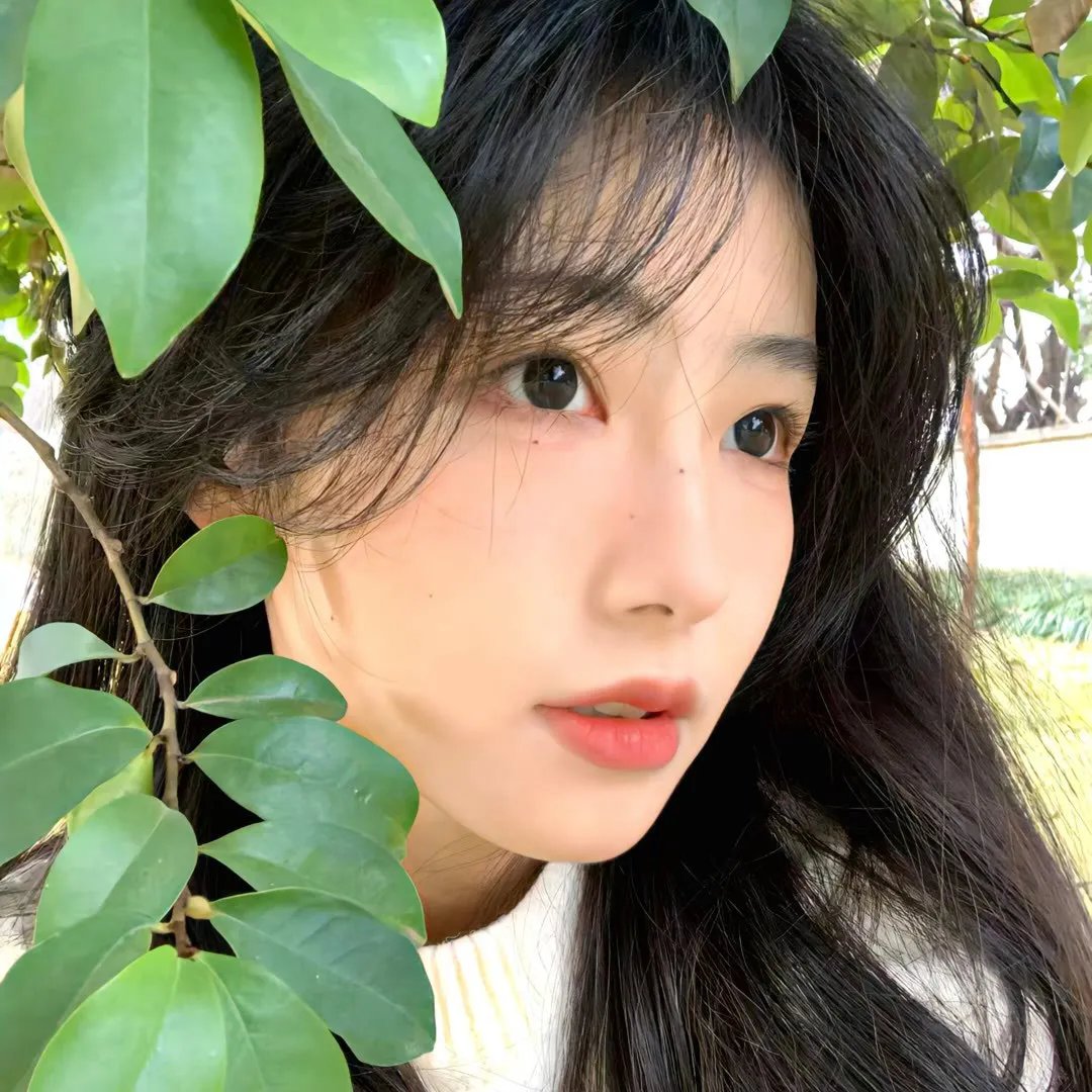 宝窗选婿